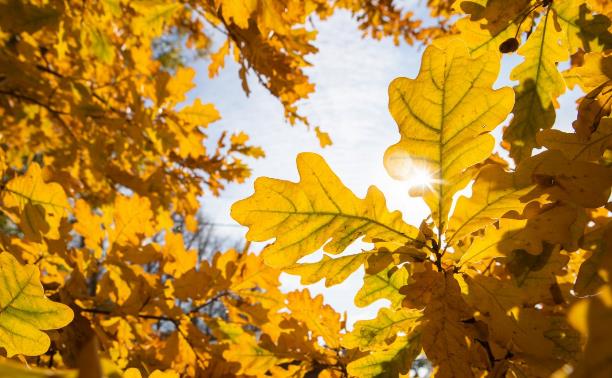 Участвуй в новом фотоконкурсе Myslo: «Осеннее настроение»