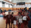 Самбисты спортшколы "Металлург" г.Тула показали отличный результат на Всероссийском турнире по самбо