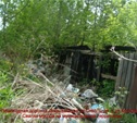 Жители Зареченского района хотят жить в чистом районе,а не в заросшем бурьяном и мусором!
