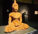 В России открылась выставка «Искусство Лего»