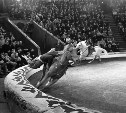 24 сентября: в Туле отметили 60-летие советского цирка