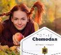 Топ-10 от «Чемодан»: автошкола, ментальная математика и много красоты