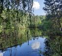 Наедине с природой: пять секретных мест у воды в Тульской области
