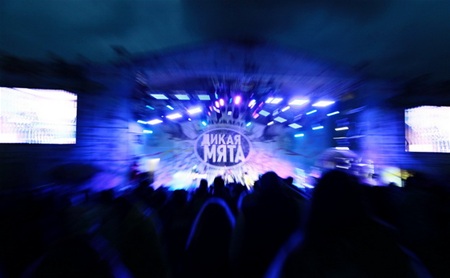 Выходные на фестивале «Дикая Мята – 2014»: Ярко, музыкально, свежо!