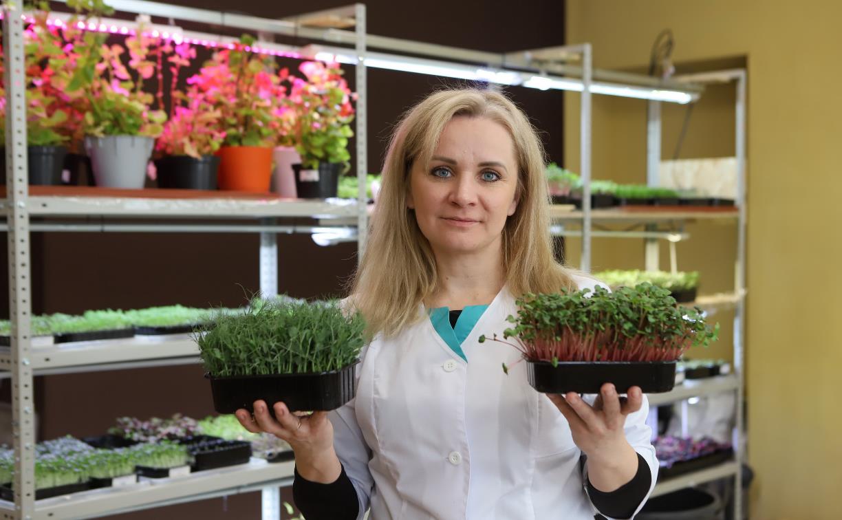 Новый тренд в кулинарии: тулячка Елена Киеня выращивает микрозелень