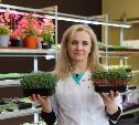 Новый тренд в кулинарии: тулячка Елена Киеня выращивает микрозелень