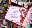 Ролевая ярмарка, кэндзюцу и световое шоу: в Туле прошел фестиваль настольных игр «Горыныч 2023»
