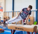 Тульские гимнасты едут на чемпионат России 