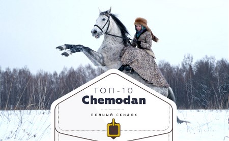 Топ-10 от «Чемодан»: химчистка, вафли и конные прогулки
