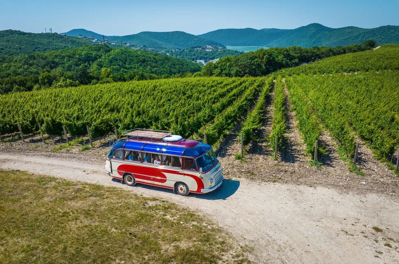 Ретро-автобус на виноградниках Абрау-Дюрсо.jpg
