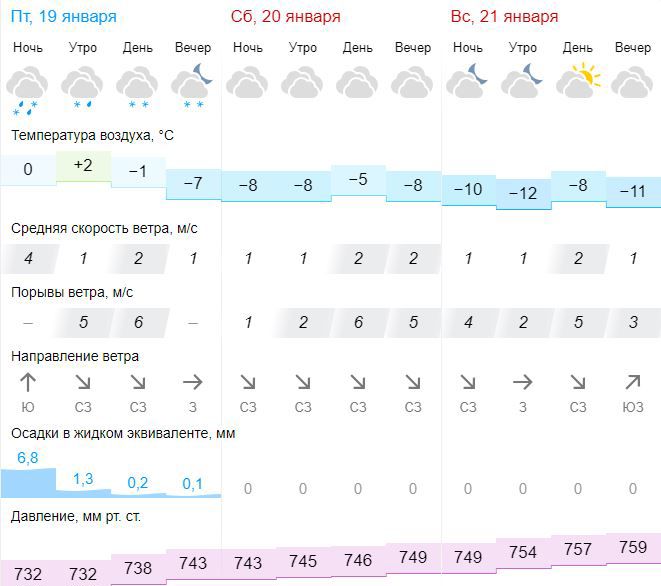 Погода в Туле на выходных: до -12 градусов и без осадков - Новости Тулы и  области - MySlo.ru