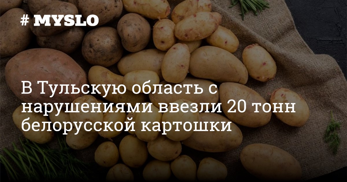 Куплю картофель тульская область. О белорусской картошке. Доставка картофеля в столовую.
