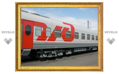 Судом в Тульской области завершилась попытка скрыть "зайца" на поезде "Адлер-Москва"