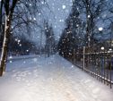 Снегопад, гололедица и снежные заносы: МЧС призывает туляков быть осторожнее на улице
