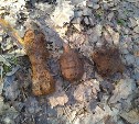 Два блиндажа с останками: В Тульской области обнаружено массовое захоронение времен войны