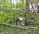 В Ясногорском районе Volkswagen врезался в дерево у дороги