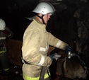 В Тульской области из горящего дома спасли 11 человек