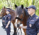За безопасностью туляков в Центральном парке будет следить конный патруль