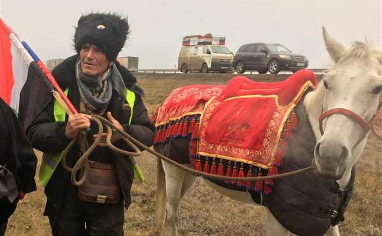 Сирийского шейха, который ведет Путину лошадь, обокрали в Тульской области