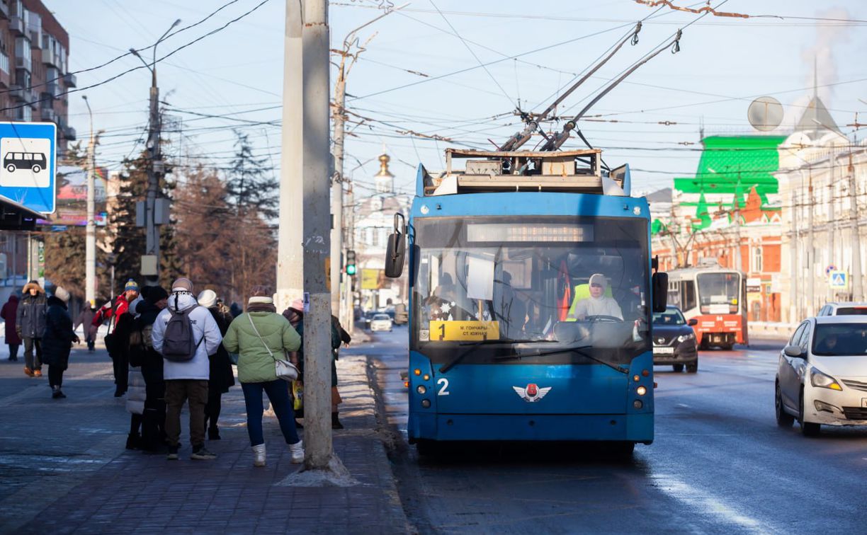 Тулячка: «Троллейбусы хотят убрать из города. Непонятно, сколько им осталось жить»