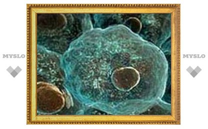 Стволовые клетки - научный прорыв 2008 года