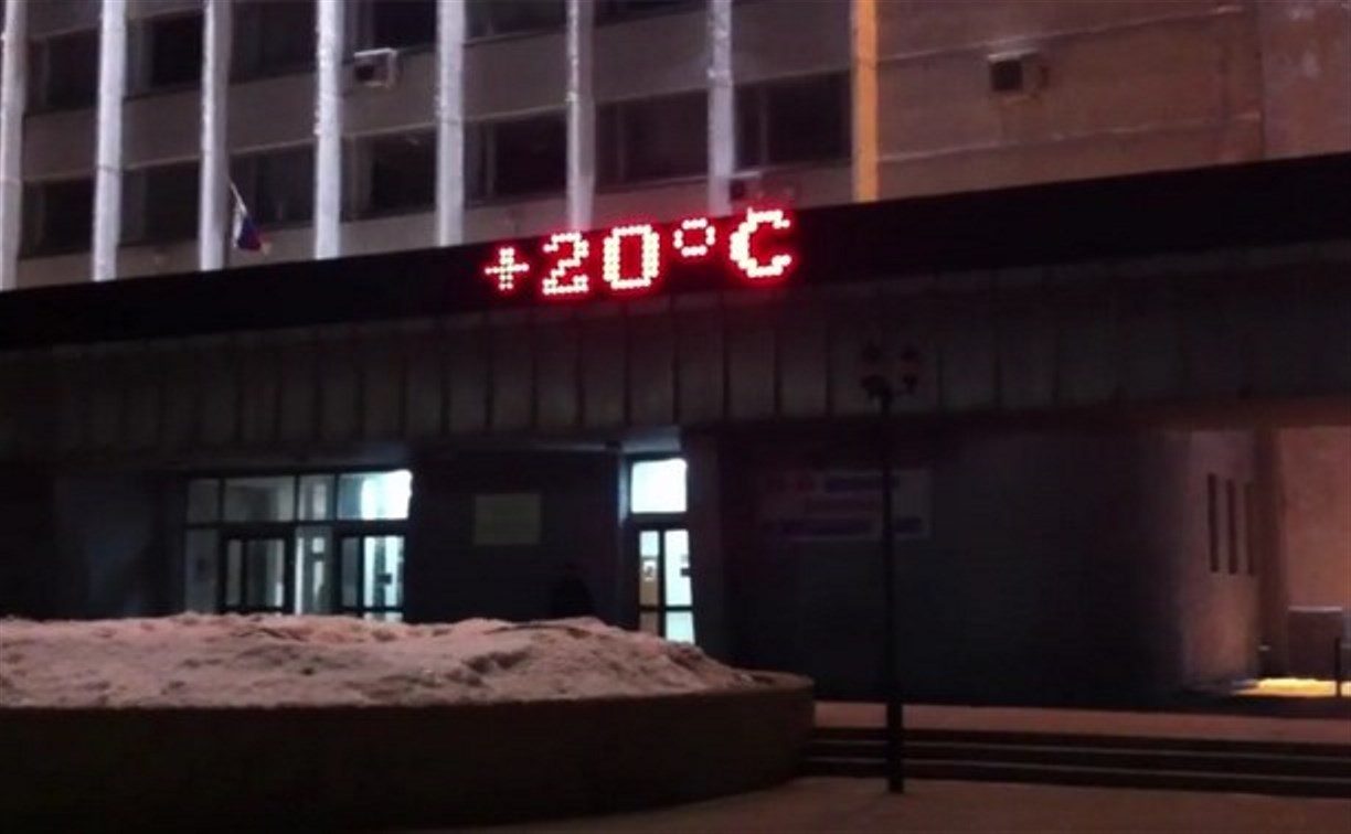 17 февраля в Туле была «зафиксирована» температура +20
