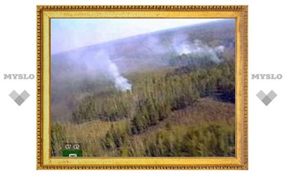 На Дальнем Востоке горят почти 1670 гектаров тайги и кустарников