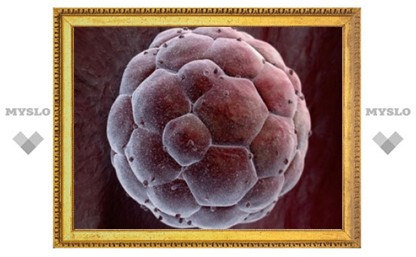 Немецкая академия наук выступила за генетическую диагностику эмбрионов