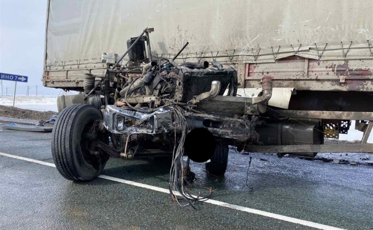 Житель Тульской области погиб в страшной аварии с автовозом