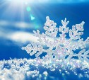 Во вторник в Туле синоптики обещают снег
