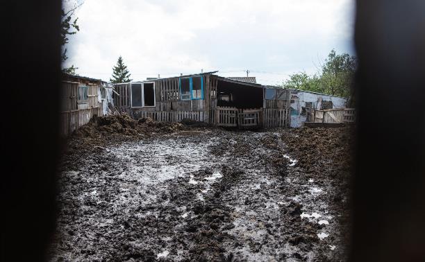Скотина и горы навоза посреди деревни: в Тульской области жители требуют закрыть токсичную ферму