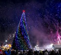 На площади Ленина в Туле открылась главная новогодняя ёлка: фоторепортаж