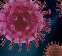 Назван способ уничтожить коронавирус за 25 секунд