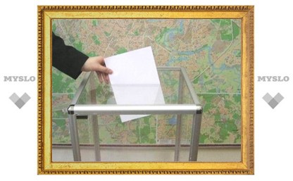 На тульских избирательных участках установят прозрачные урны