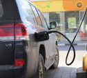 Росстат: в Тульской области самый дорогой бензин в ЦФО