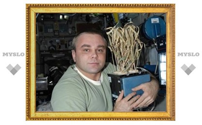 Космическому блогеру Максиму Сураеву отказано в звании Героя России