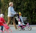 Владимир Груздев и депутаты Облдумы обсудят помощь матерям-одиночкам