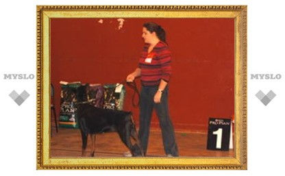 В Туле прошла региональная выставка собак