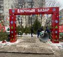 В Туле продают новогодние ёлки из Суворовского района и Пермского края