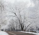 Погода в Туле 23 февраля: тихо, морозно и малооблачно
