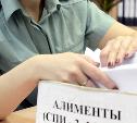 Житель Суворова задолжал сыновьям 80 тысяч рублей и отправится на обязательные работы