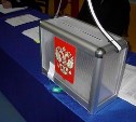 В Тульской области организовано голосование на дому