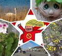 Цветы, чистые лайны и гречка: туляки делятся антипаническими новостями