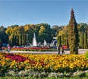 Белоусовский парк отметит юбилей мегаконцертом