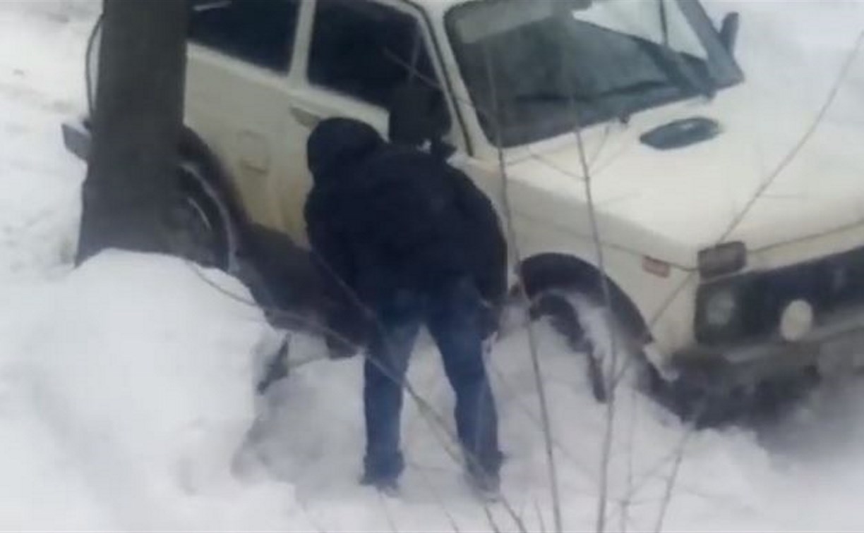 Месть за парковку: в Донском семейная пара закидала снегом авто соседа