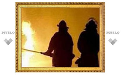 В Новогоднюю ночь под Тулой сгорели два человека