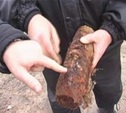 В Щегловской засеке нашли снаряды времен ВОВ