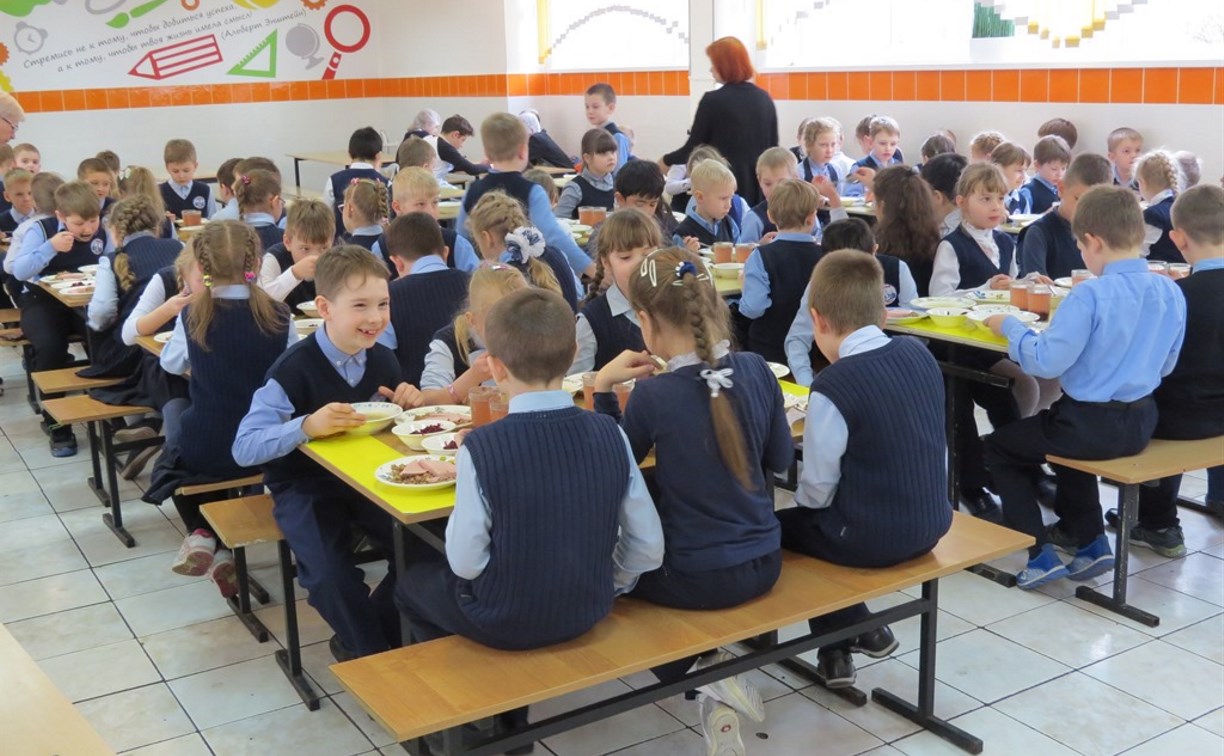 Тульские школьники будут оплачивать обеды в столовой электронной картой