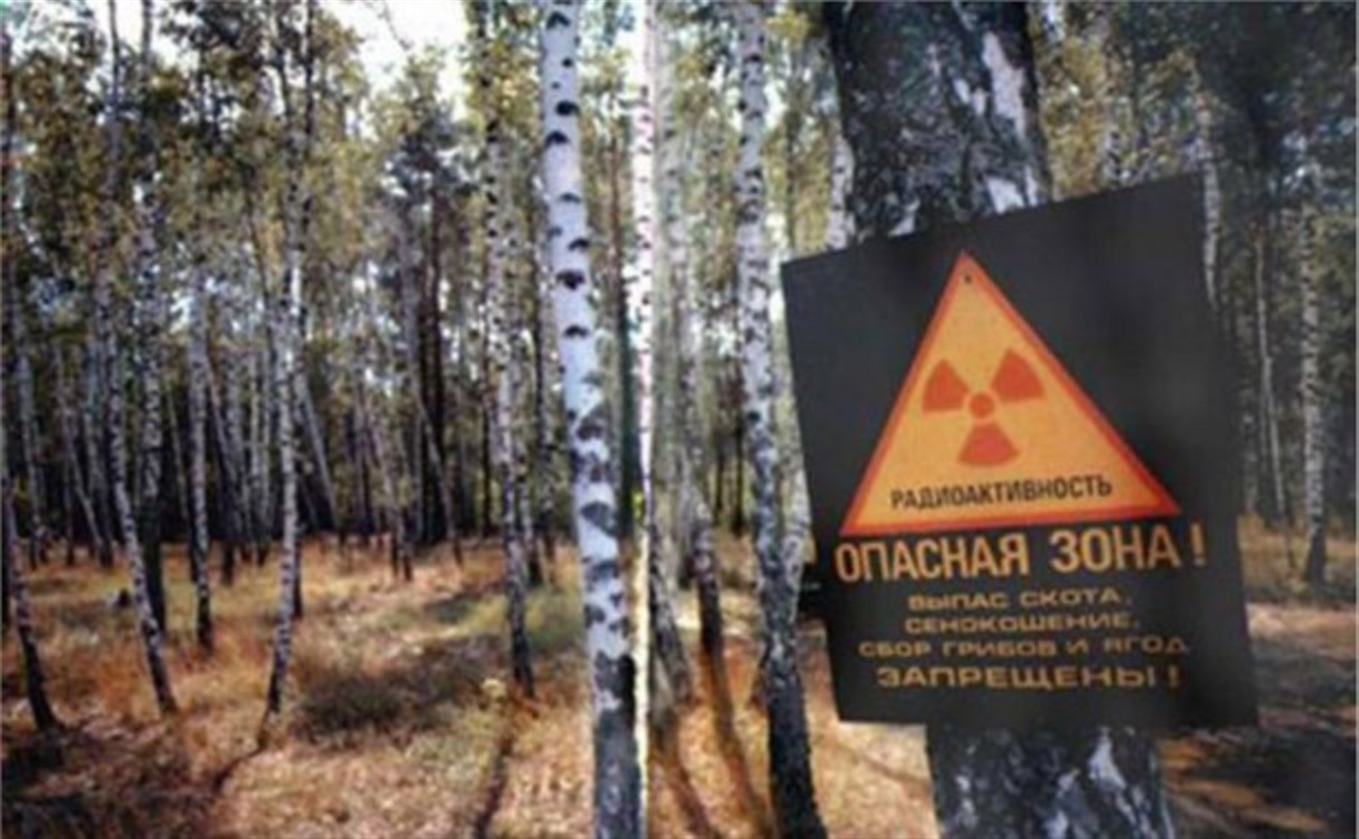 Правительство РФ хочет вдвое сократить чернобыльскую зону загрязнения