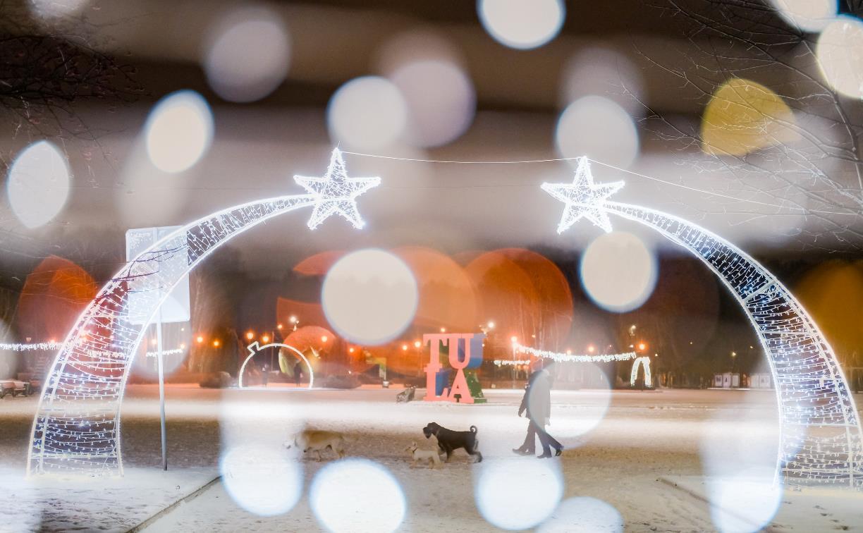 Забег Дедов Морозов и «КиноКАТОК»: какие события ждут горожан зимой в тульских парках